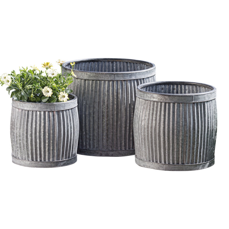 Gracie Oaks Armanno 3Piece Galvanized Metal Pot Planter Set Wayfair